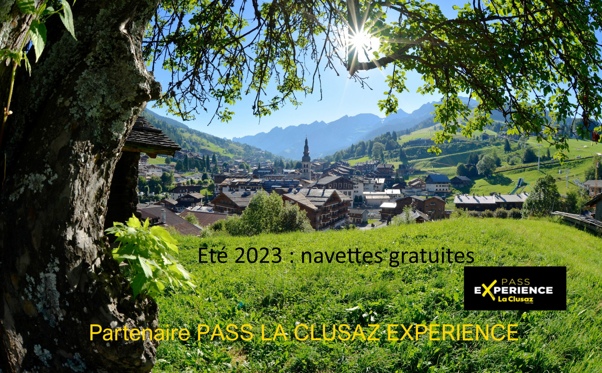 site-t-pass6experience-2023-393