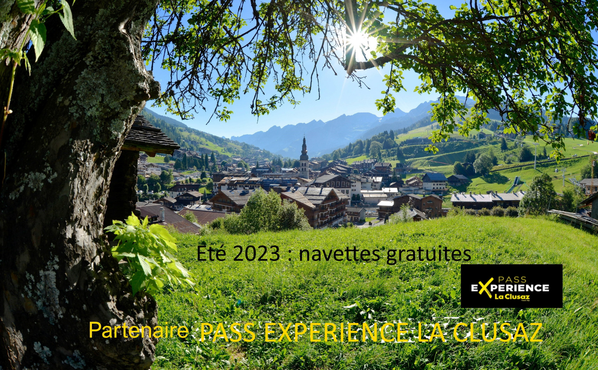 site-t-pass6experience-2023-395