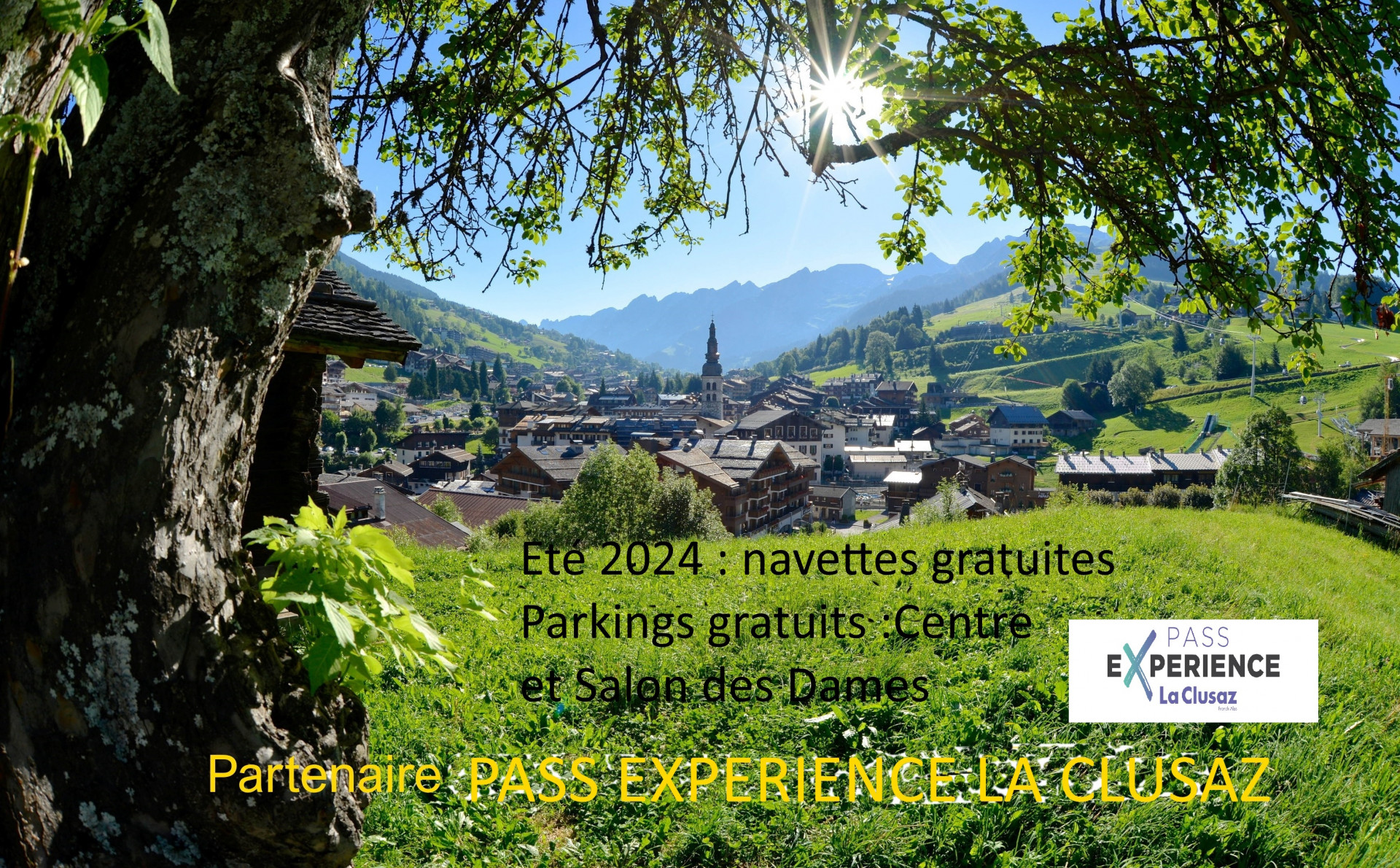 site-t-passexperience-2024-397