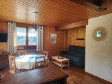 location2pièces-rez-de-jardin-bellevuemontagne-laclusaz