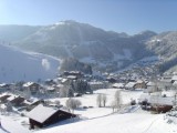 location3étoiles-vuemontagne-nantsoleilA9-laclusaz