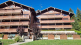 locationappartement1chambre-presBOSSONNET-vuemontagne-laclusaz