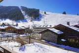 locationappartement3chambres-centre-village-vuemontagne-laclusaz-chaletgelinotte