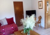locationappartement3chambres-surpistes-laclusaz
