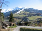 riantecolline4-location-lesriffroids-laclusaz