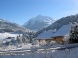 riantecolline4-location-lesriffroids-laclusaz