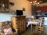 studio-grizzli-vuemontagne-village-laclusaz
