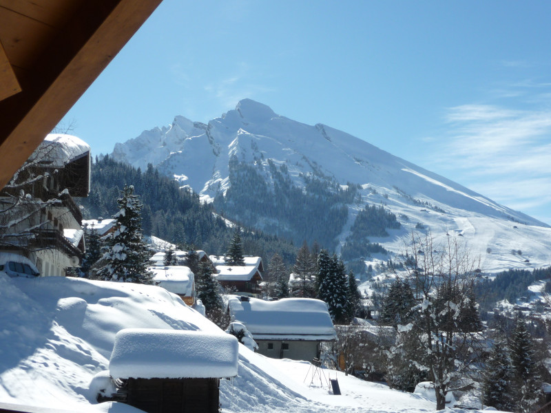 massif de l'Etale chaletalizier-274-route-cret-du-merle-la-clusaz-sur-piste