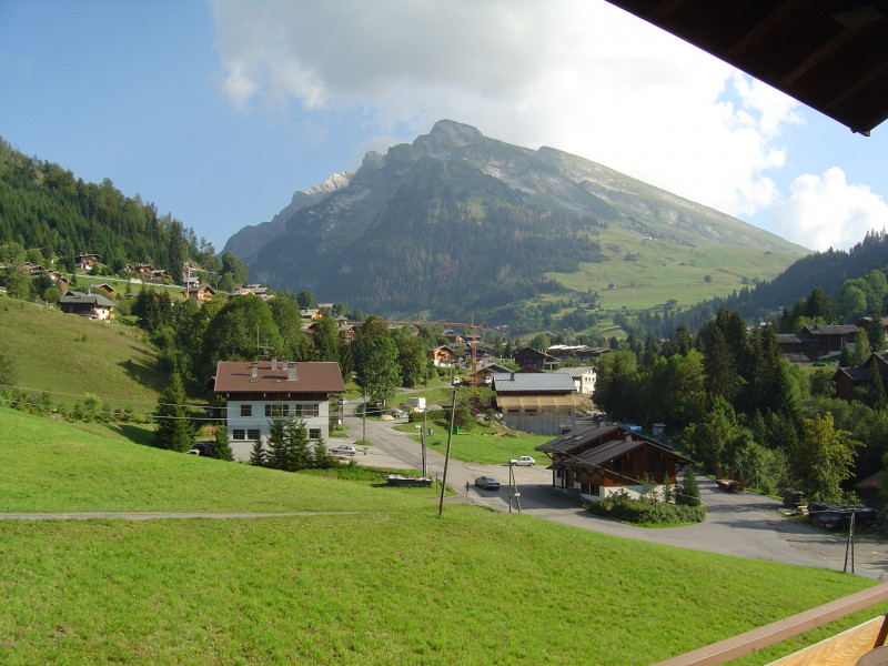 vue massif Etale ciboulette2-vuesuretale-22064
