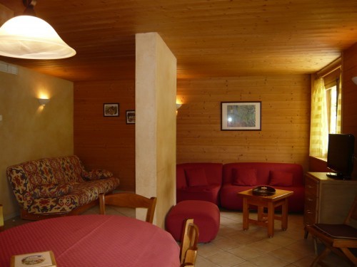 location-appartement-centre-village-3étoiles-laclusaz
