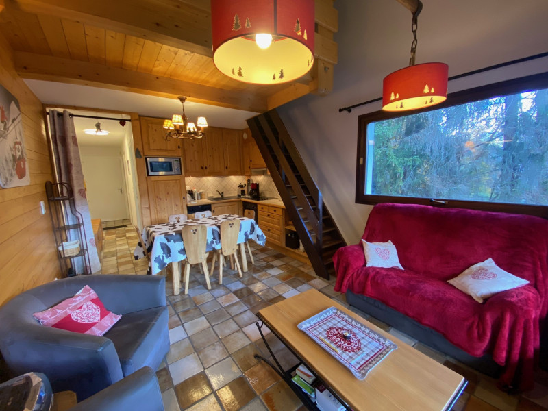 location-appartement3étoiles-lesRiffroids-laclusaz