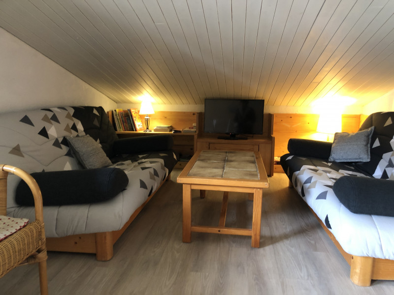 location-parnasse407-centrelaclusaz-surpistes