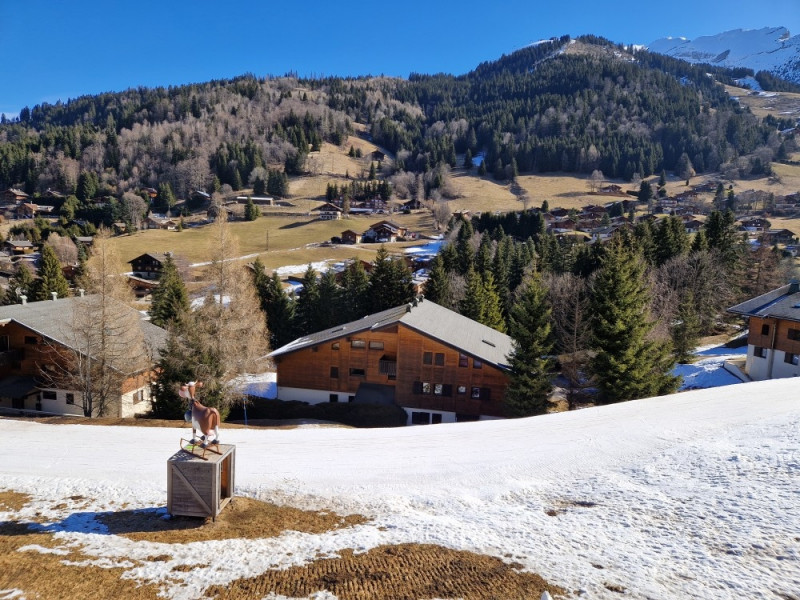 location2chambres-3étoiles-pisteverte-laclusaz