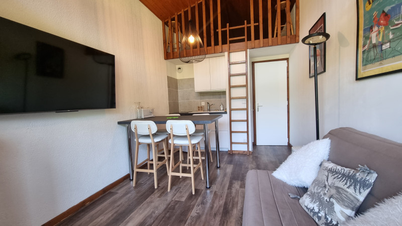 studiocosy-vuemontagne-laclusaz