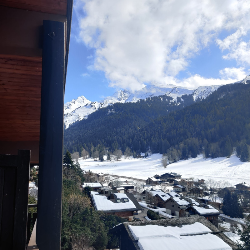 vue-aravis-23254